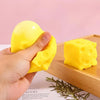 Mini Silicone Animal Squishy Toy Set