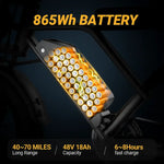 VOLTVOGU Full-Suspension Electric Off-Road Bike