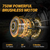 VOLTVOGU Full-Suspension Electric Off-Road Bike