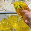 Honey Cheese Squeeze Toy