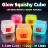 Glow in the Dark Ice Cube Squishy Toy